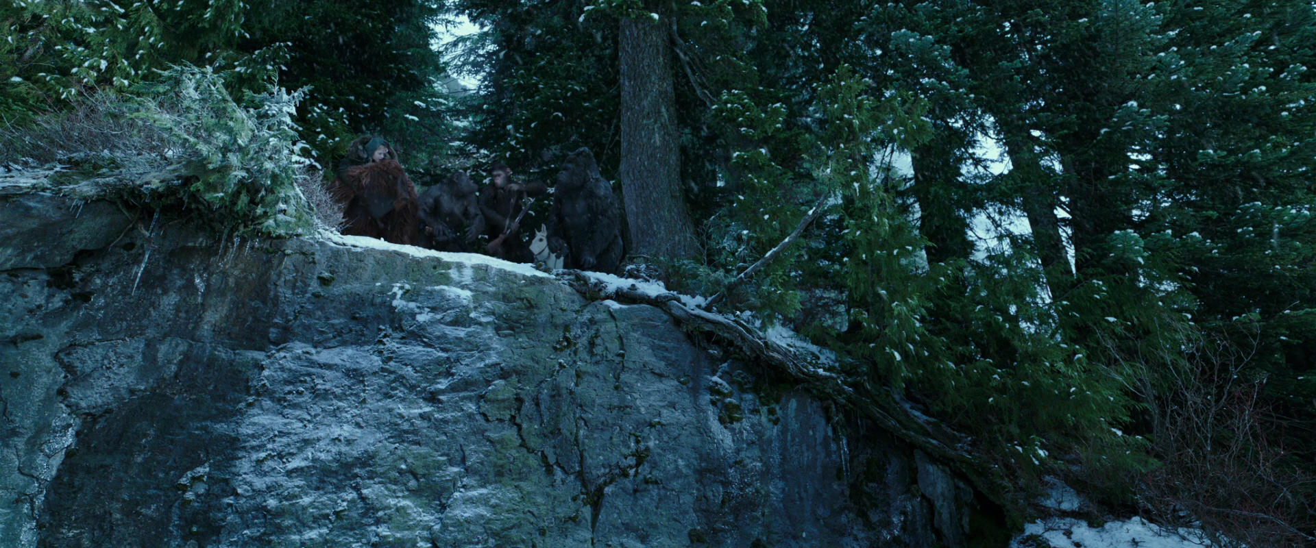 War for the Planet of the Apes (2017) screencap 6495
