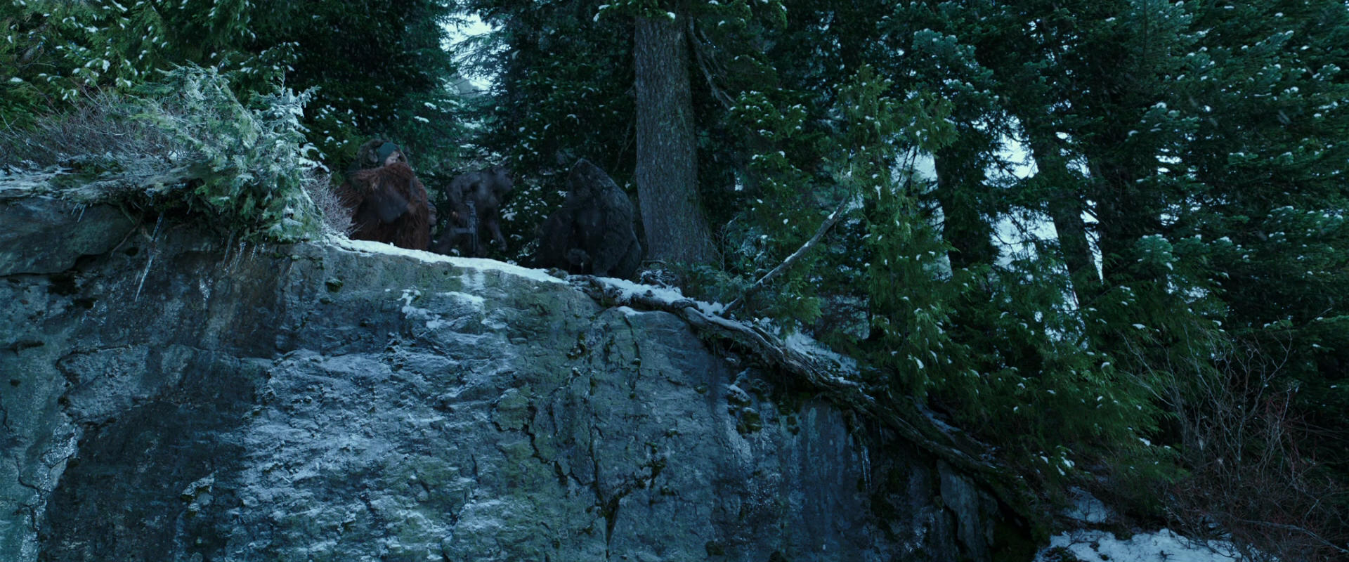 War for the Planet of the Apes (2017) screencap 6498