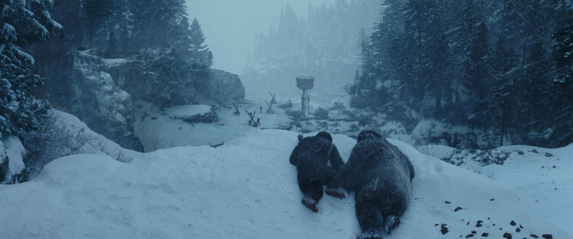 War for the Planet of the Apes (2017) screencap 6501