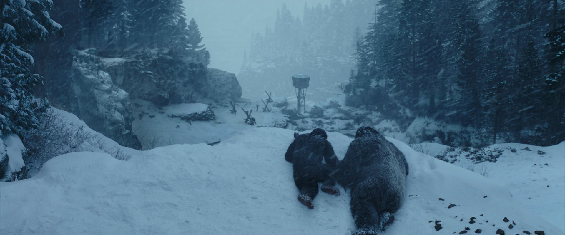 War for the Planet of the Apes (2017) movie still 6502