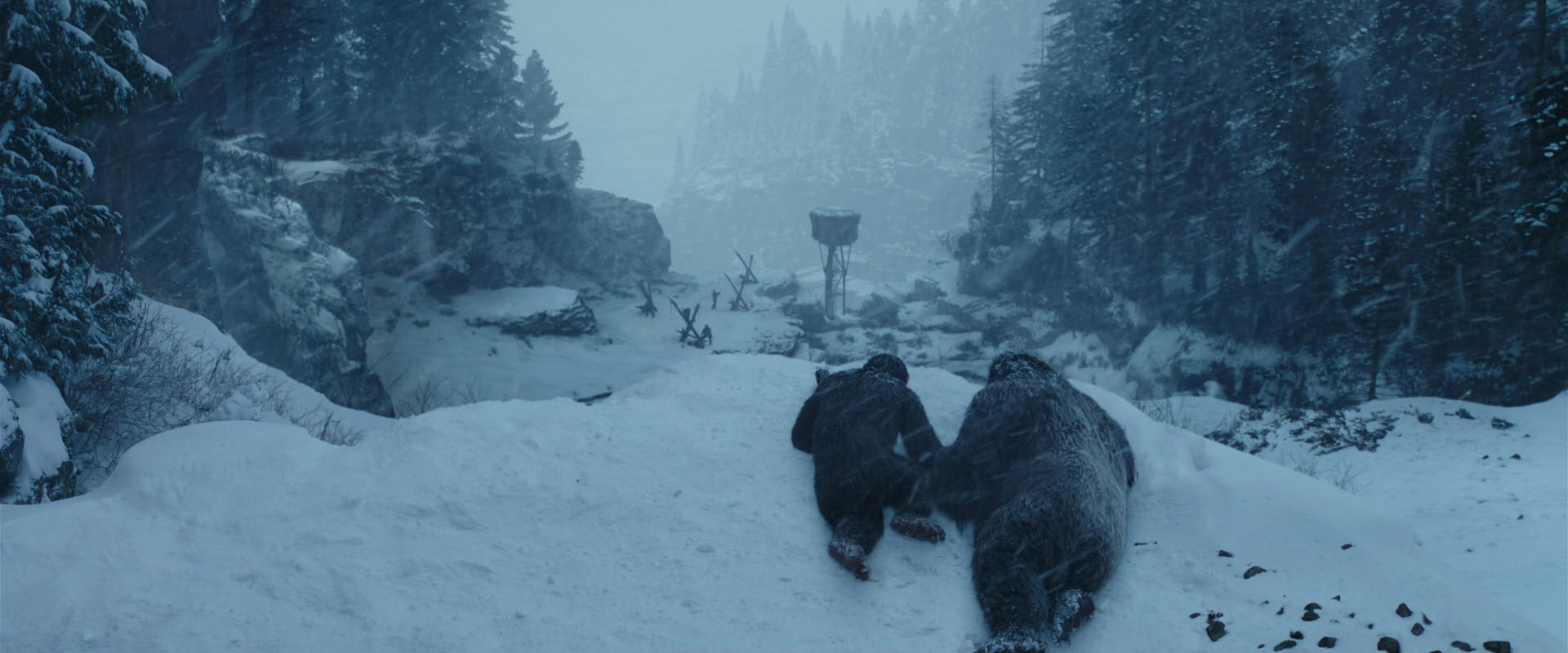 War for the Planet of the Apes (2017) screencap 6504
