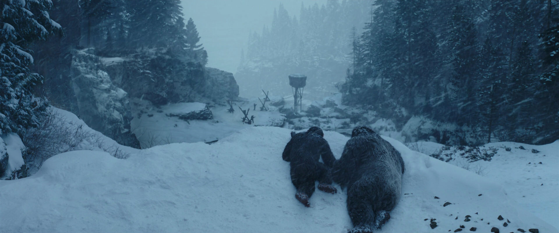 War for the Planet of the Apes (2017) movie still 6505