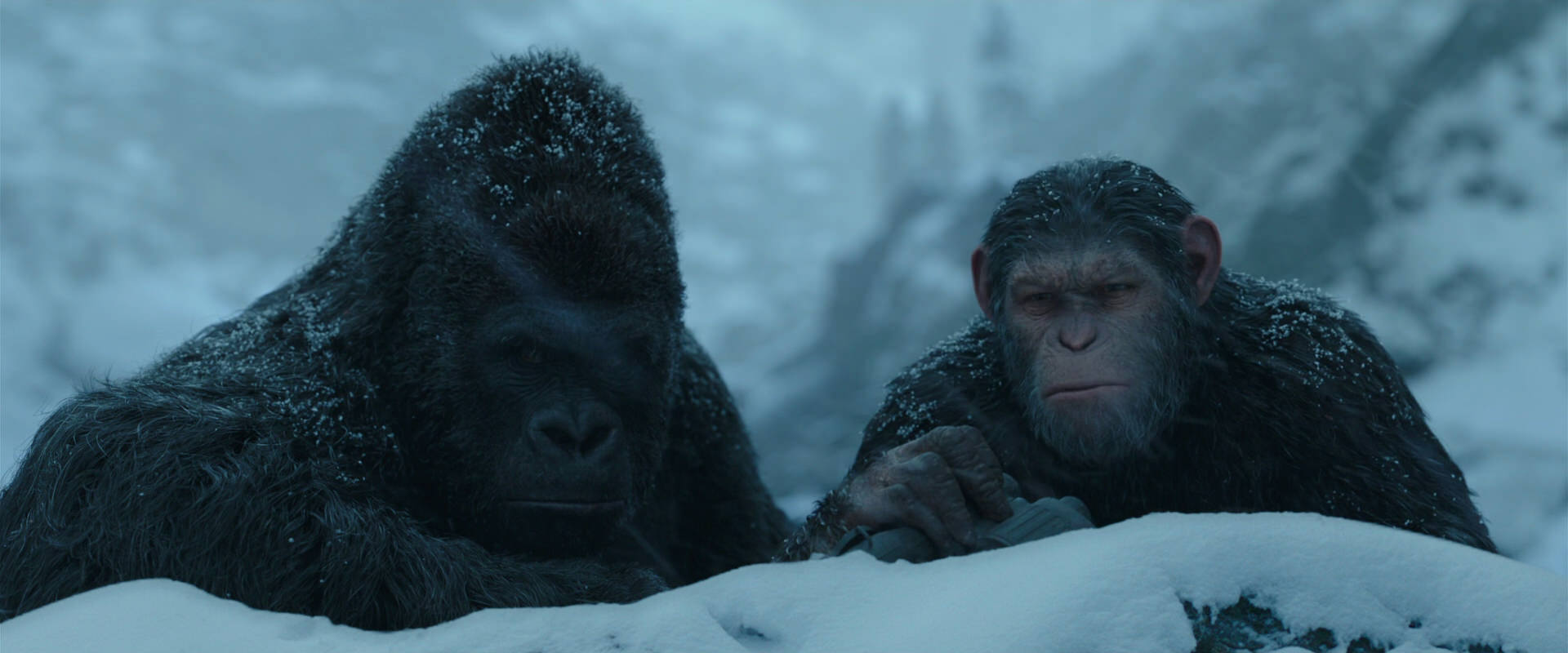 War for the Planet of the Apes (2017) movie still 6514