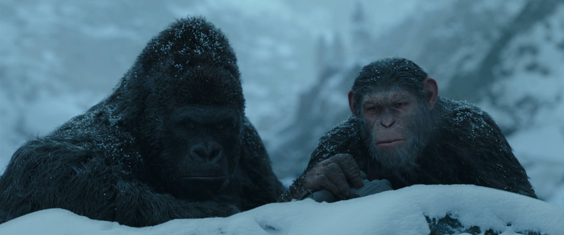War for the Planet of the Apes (2017) HD screenshot 6515