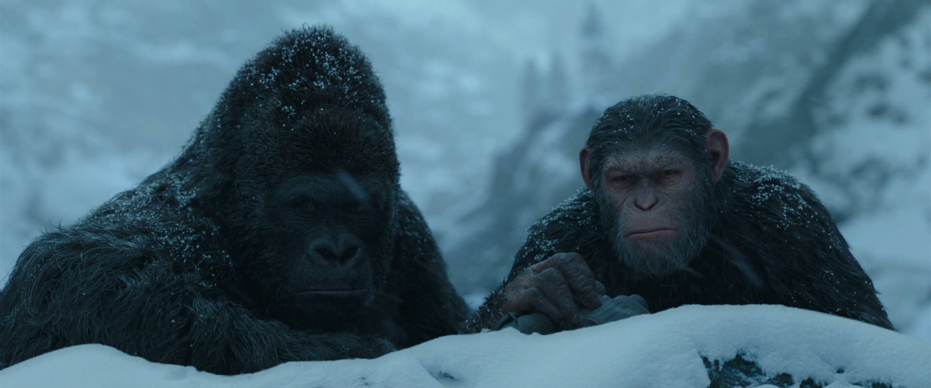 War for the Planet of the Apes (2017) screencap 6516