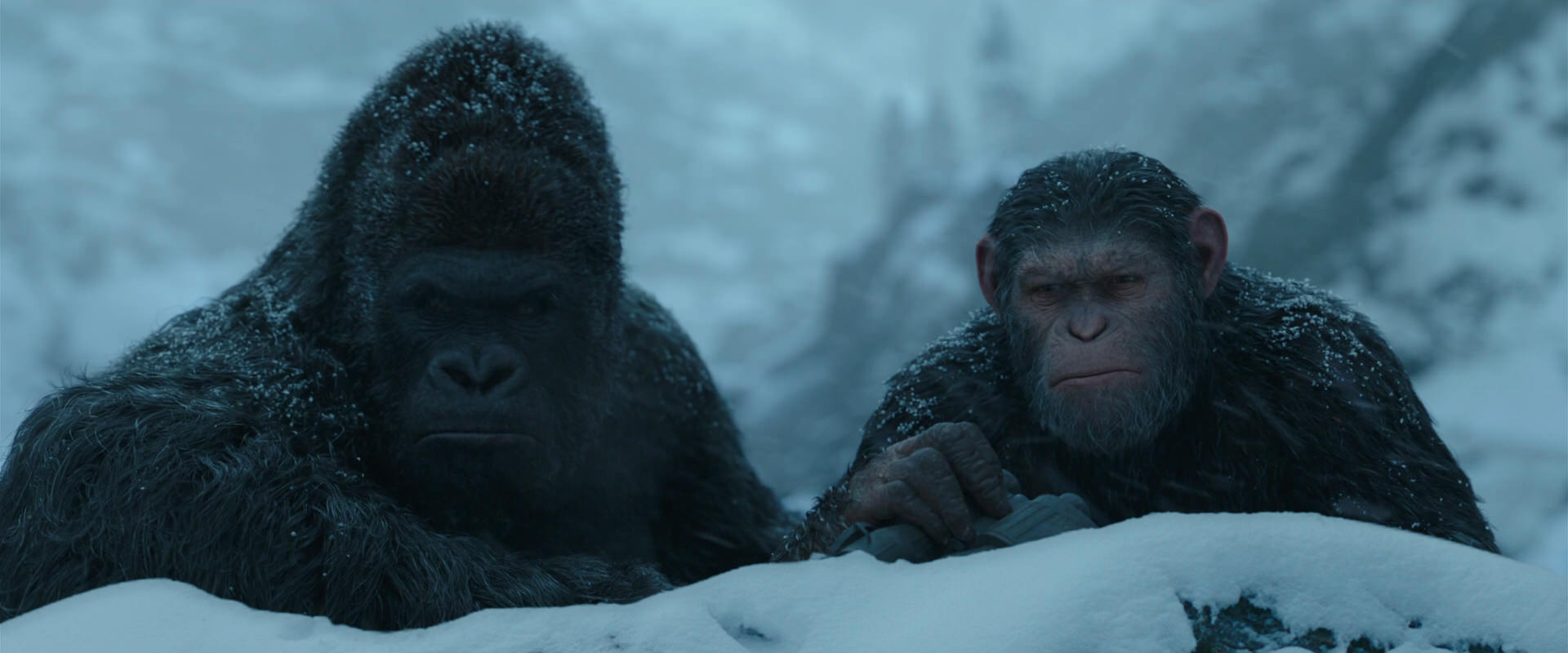 War for the Planet of the Apes (2017) screencap 6519