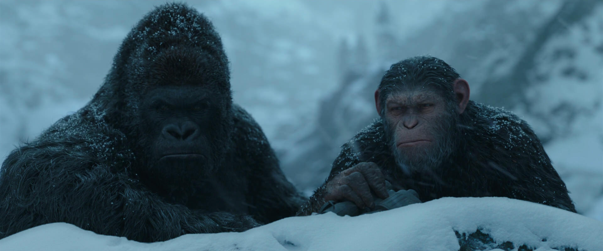 War for the Planet of the Apes (2017) movie still 6520
