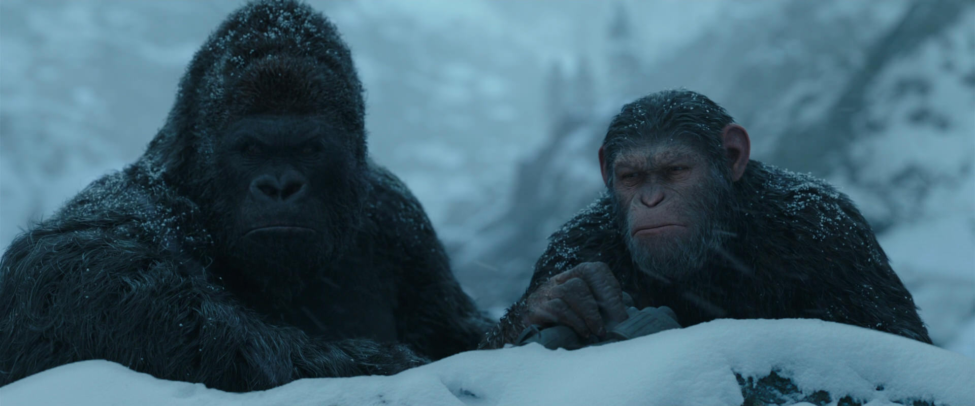 War for the Planet of the Apes (2017) HD screenshot 6521