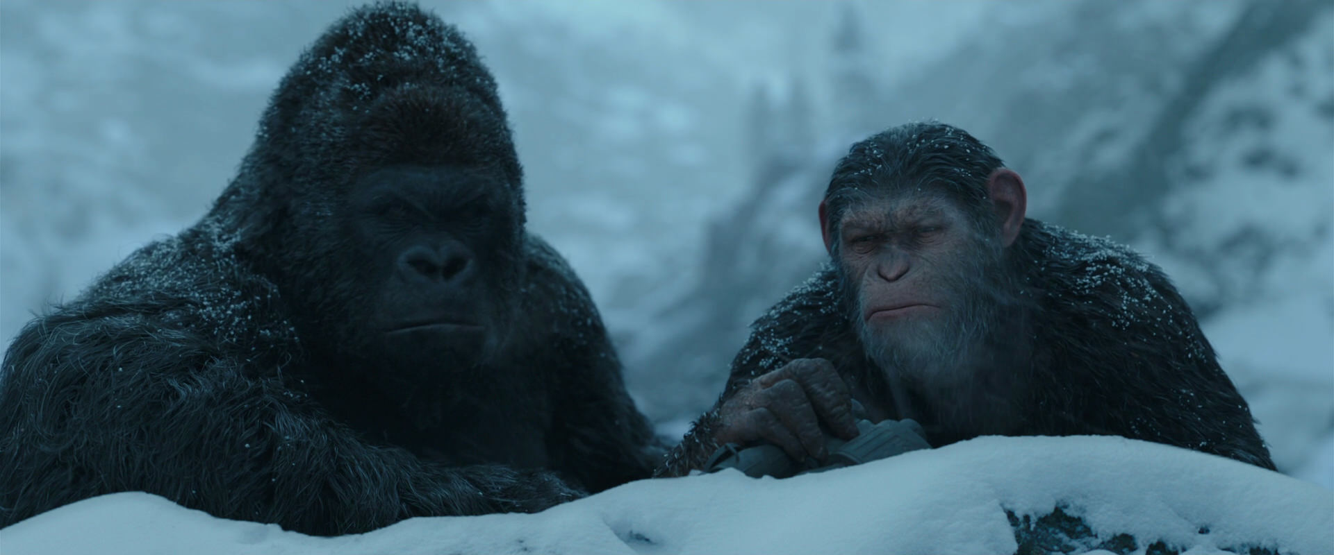 War for the Planet of the Apes (2017) screencap 6522