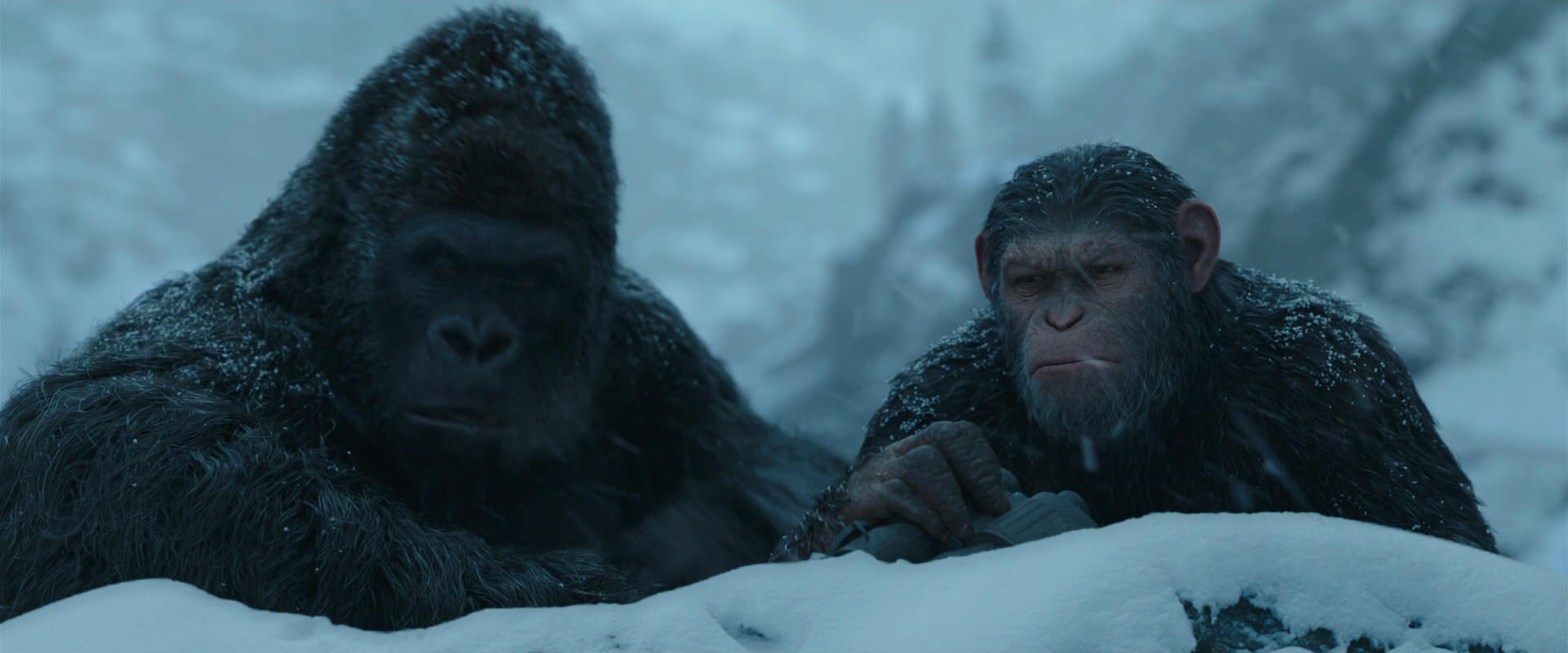 War for the Planet of the Apes (2017) HD screenshot 6524