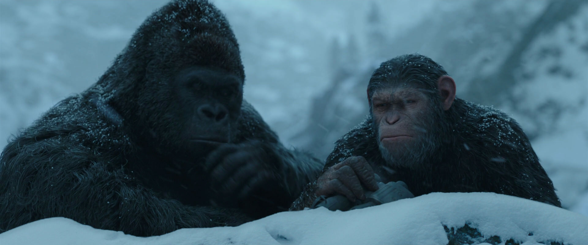 War for the Planet of the Apes (2017) screencap 6525