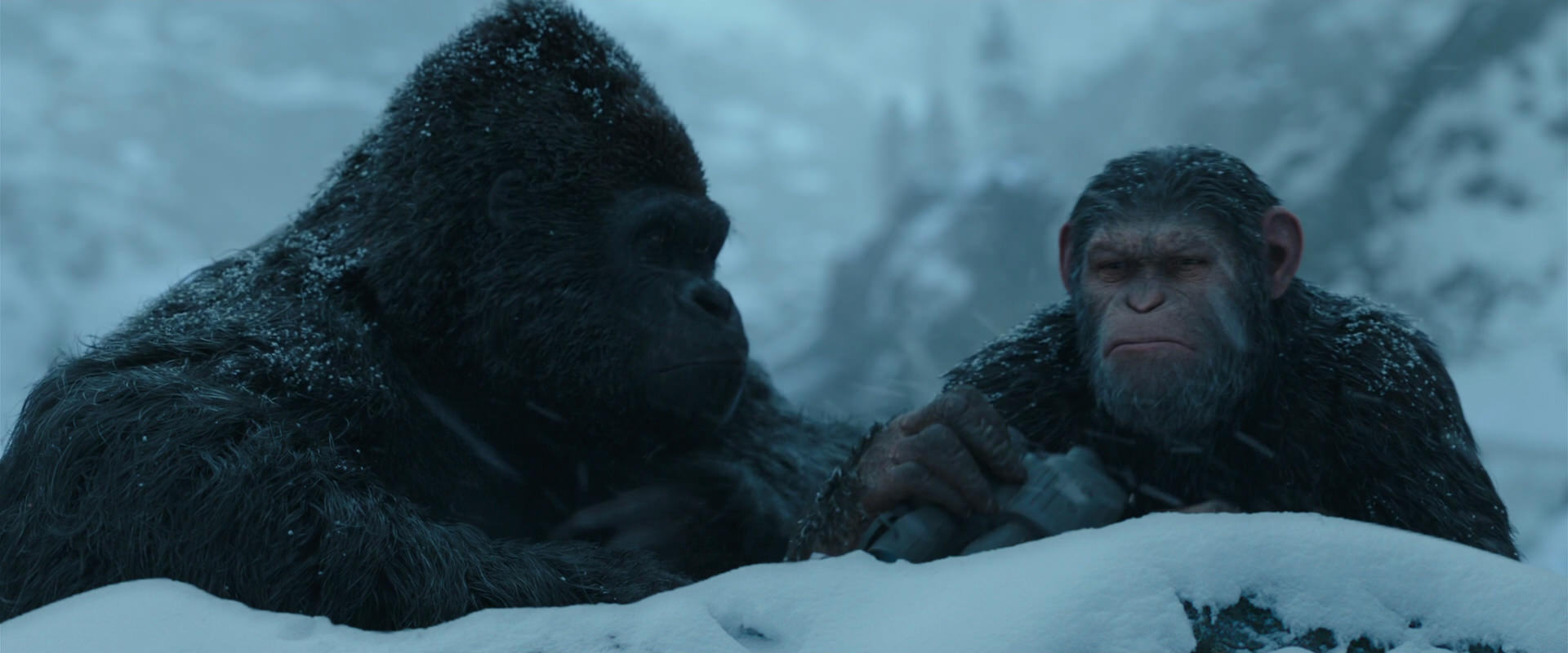 War for the Planet of the Apes (2017) movie still 6526