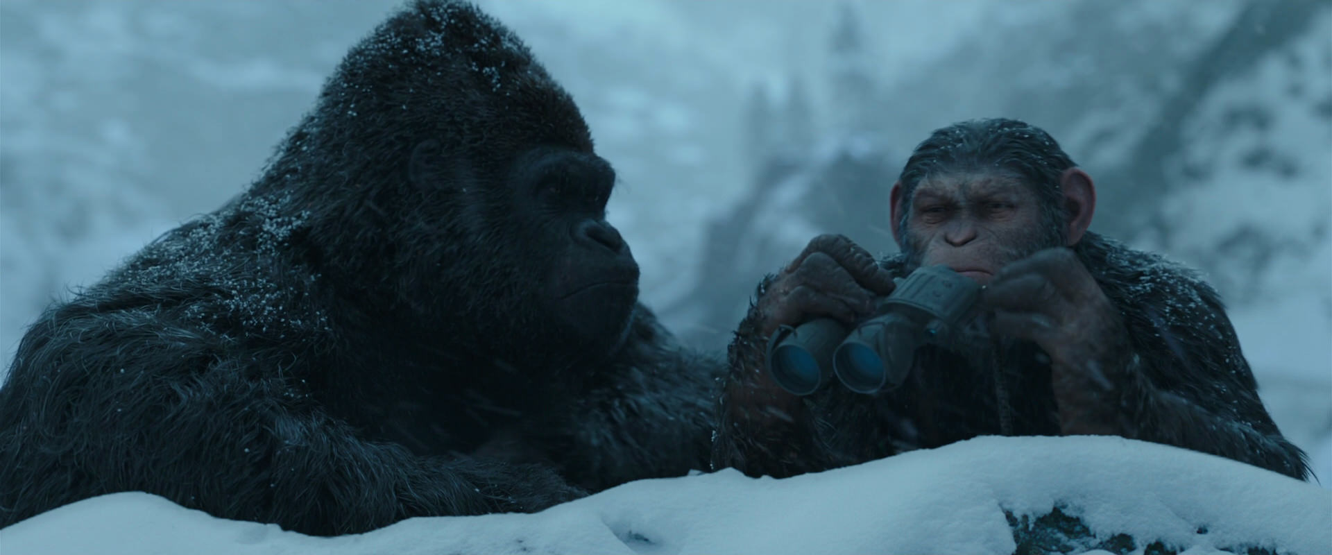 War for the Planet of the Apes (2017) HD screenshot 6527