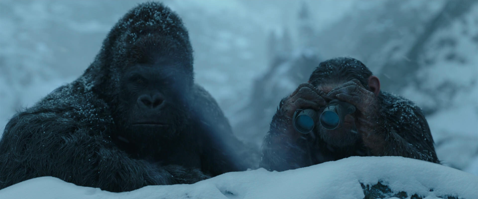 War for the Planet of the Apes (2017) movie still 6529
