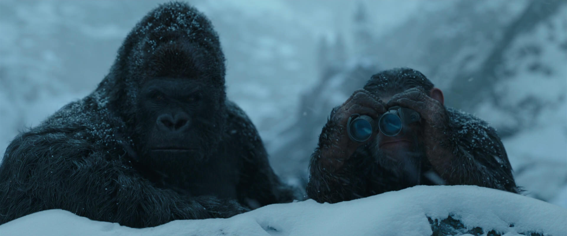 War for the Planet of the Apes (2017) HD screenshot 6530
