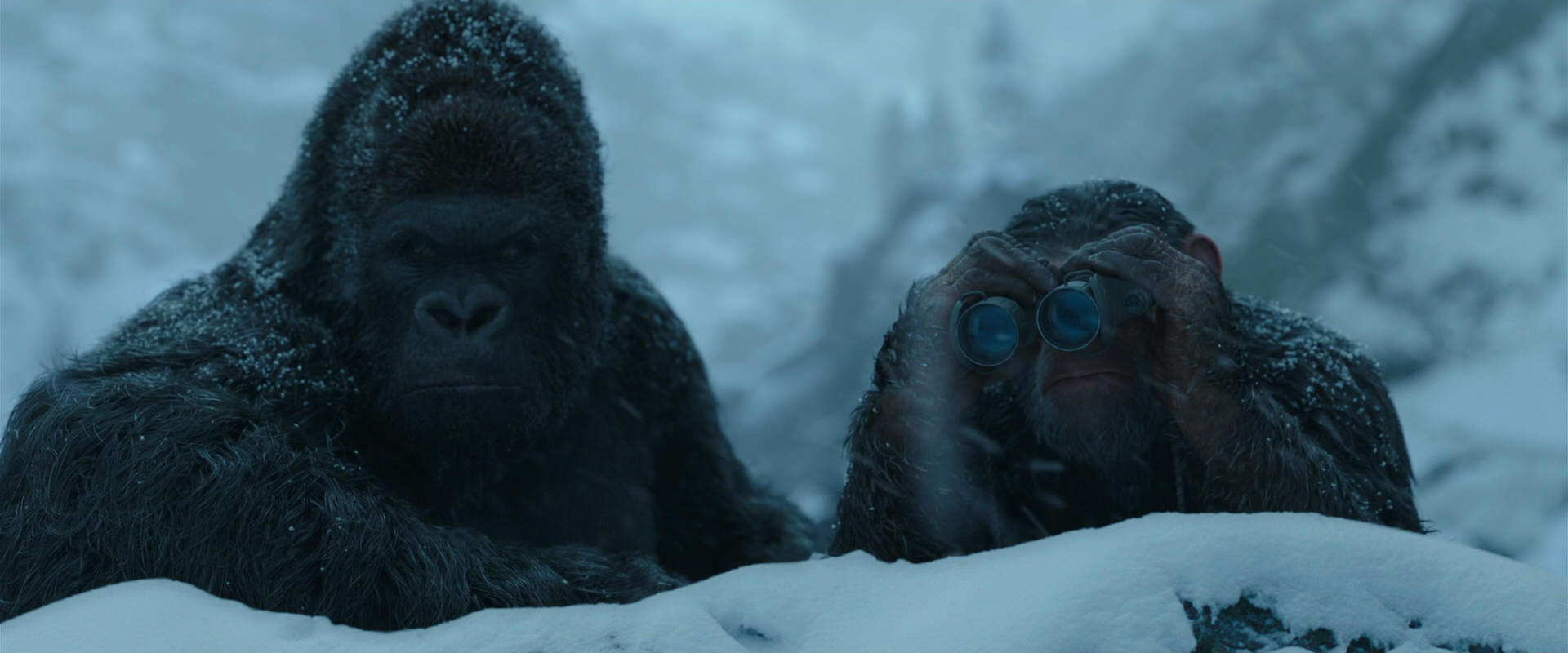 War for the Planet of the Apes (2017) screencap 6531