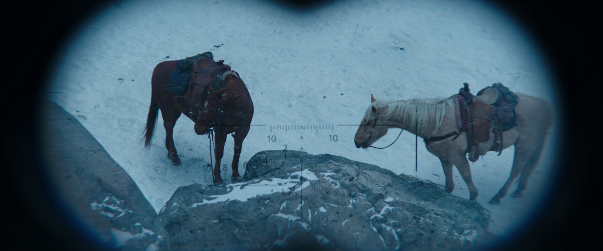 War for the Planet of the Apes (2017) screencap 6534