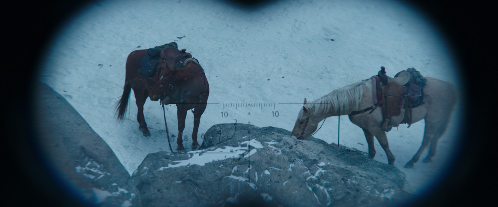 War for the Planet of the Apes (2017) screencap 6537