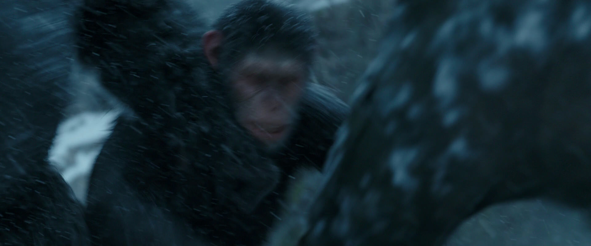 War for the Planet of the Apes (2017) screencap 6540