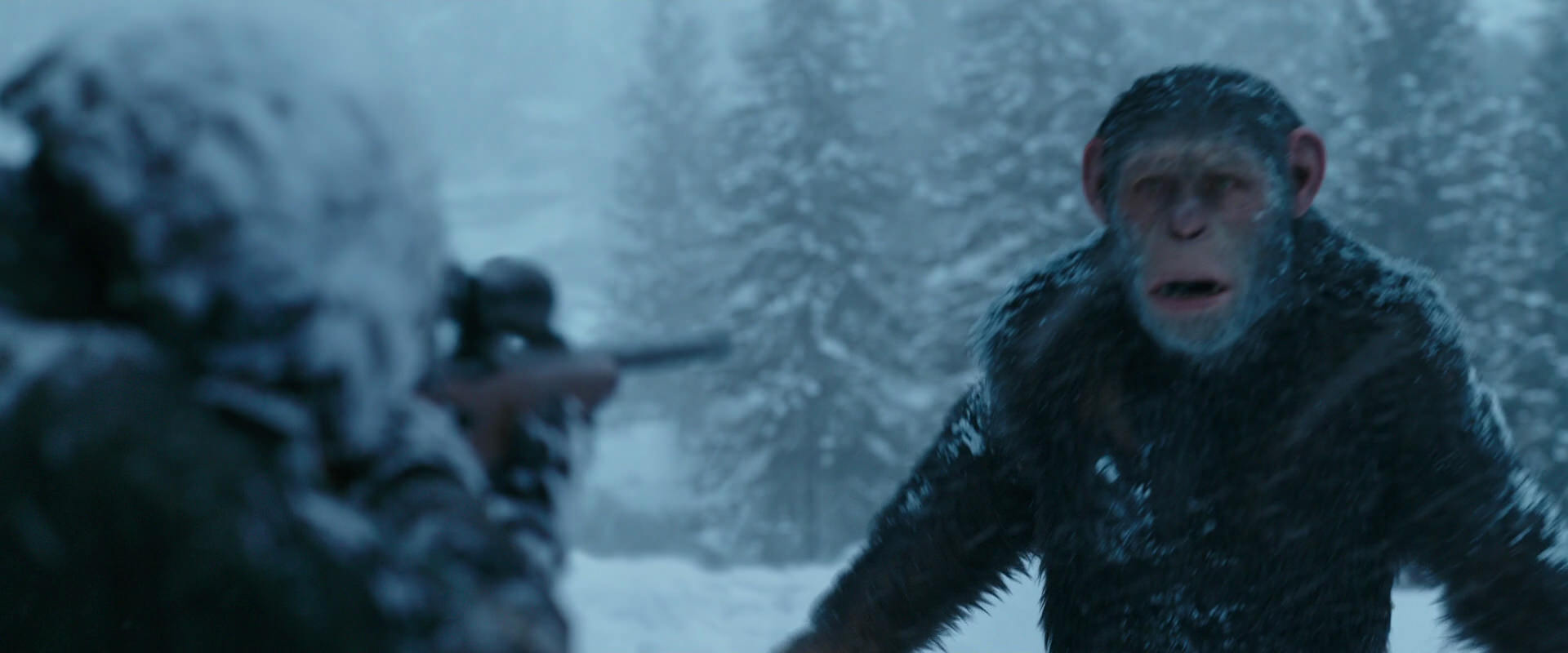 War for the Planet of the Apes (2017) screencap 6549