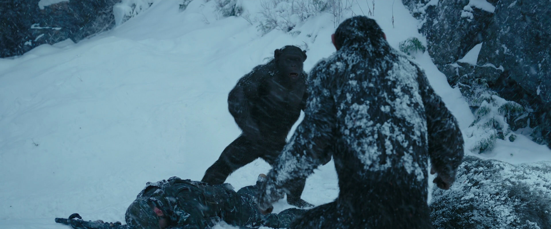 War for the Planet of the Apes (2017) screencap 6555