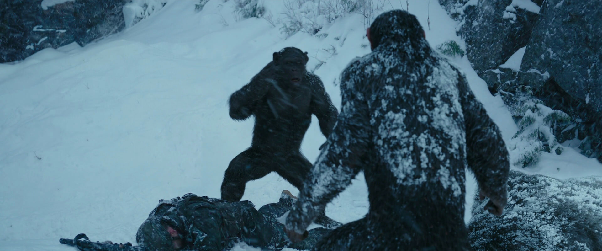 War for the Planet of the Apes (2017) movie still 6556
