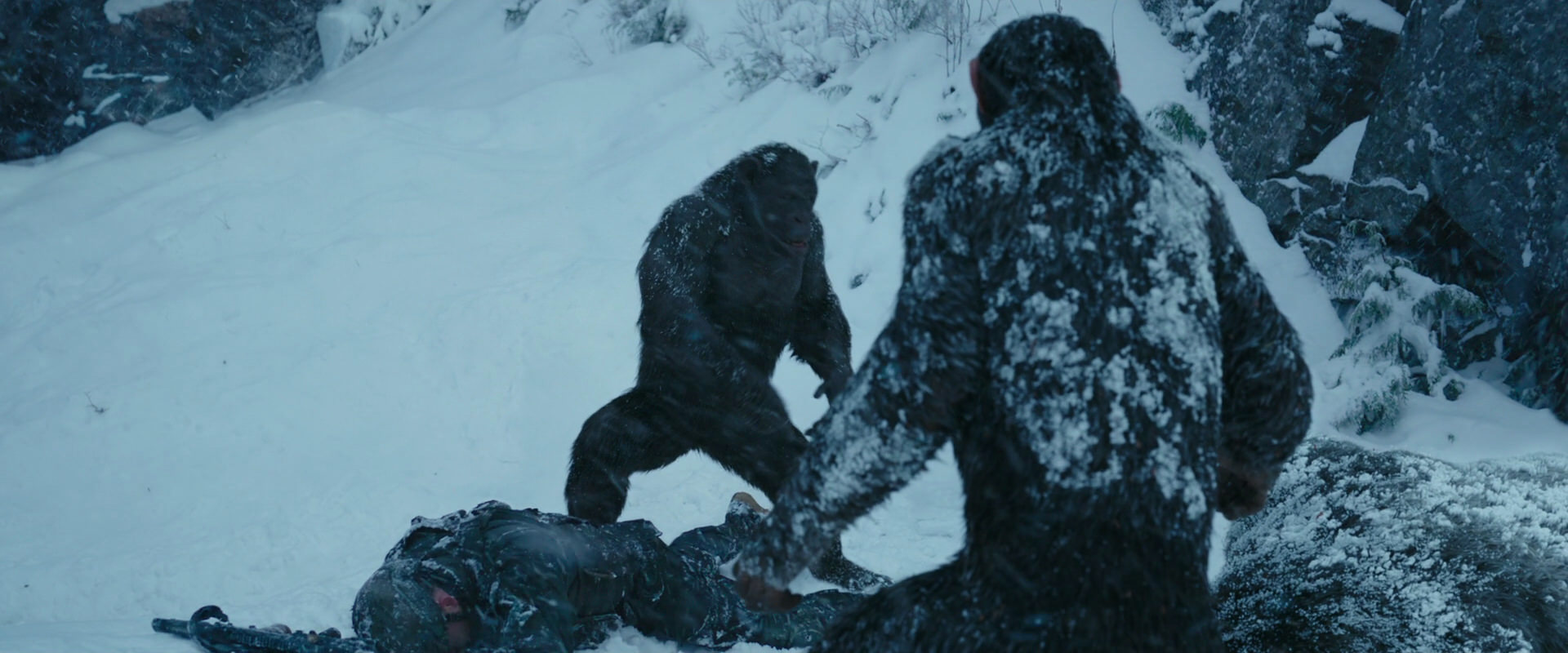 War for the Planet of the Apes (2017) screencap 6558