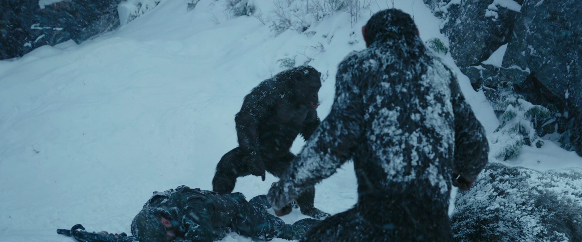 War for the Planet of the Apes (2017) movie still 6559