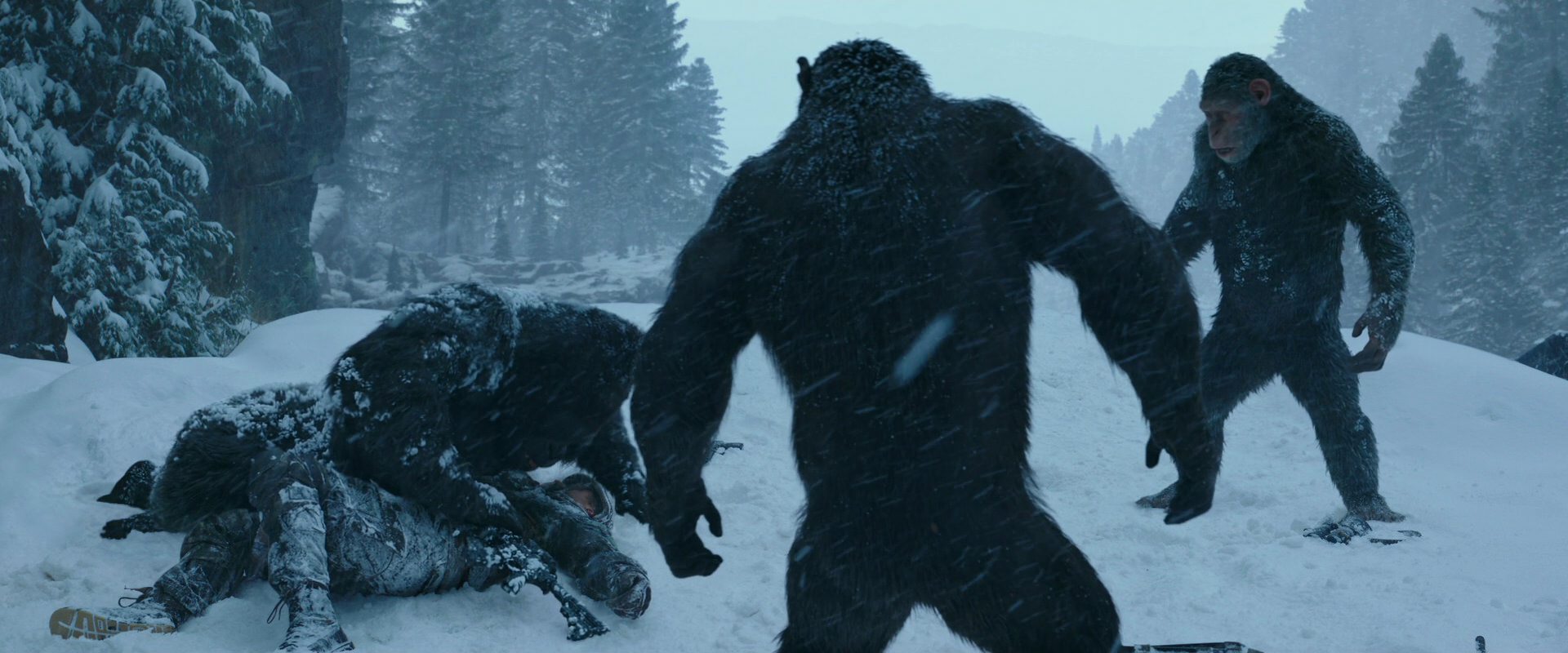 War for the Planet of the Apes (2017) screencap 6561