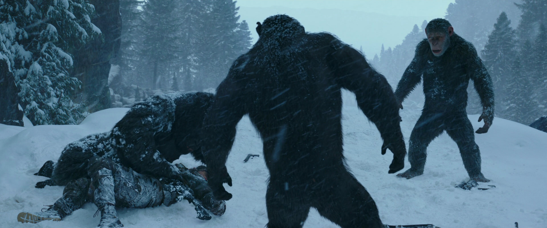 War for the Planet of the Apes (2017) movie still 6562