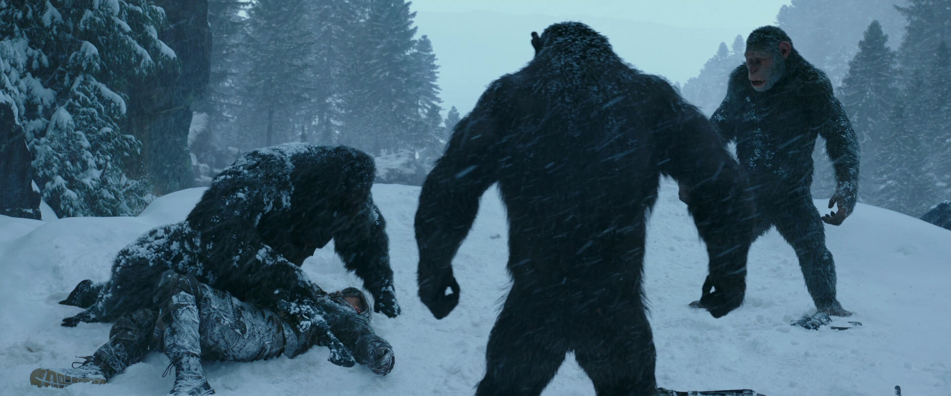 War for the Planet of the Apes (2017) screencap 6564
