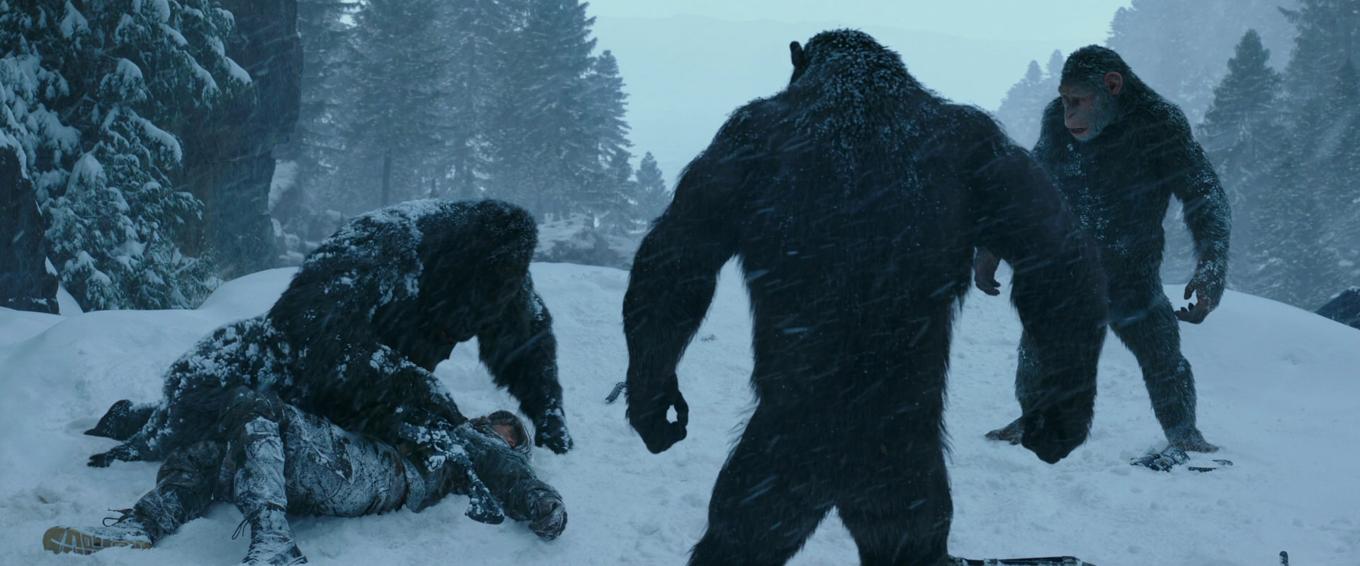 War for the Planet of the Apes (2017) movie still 6565