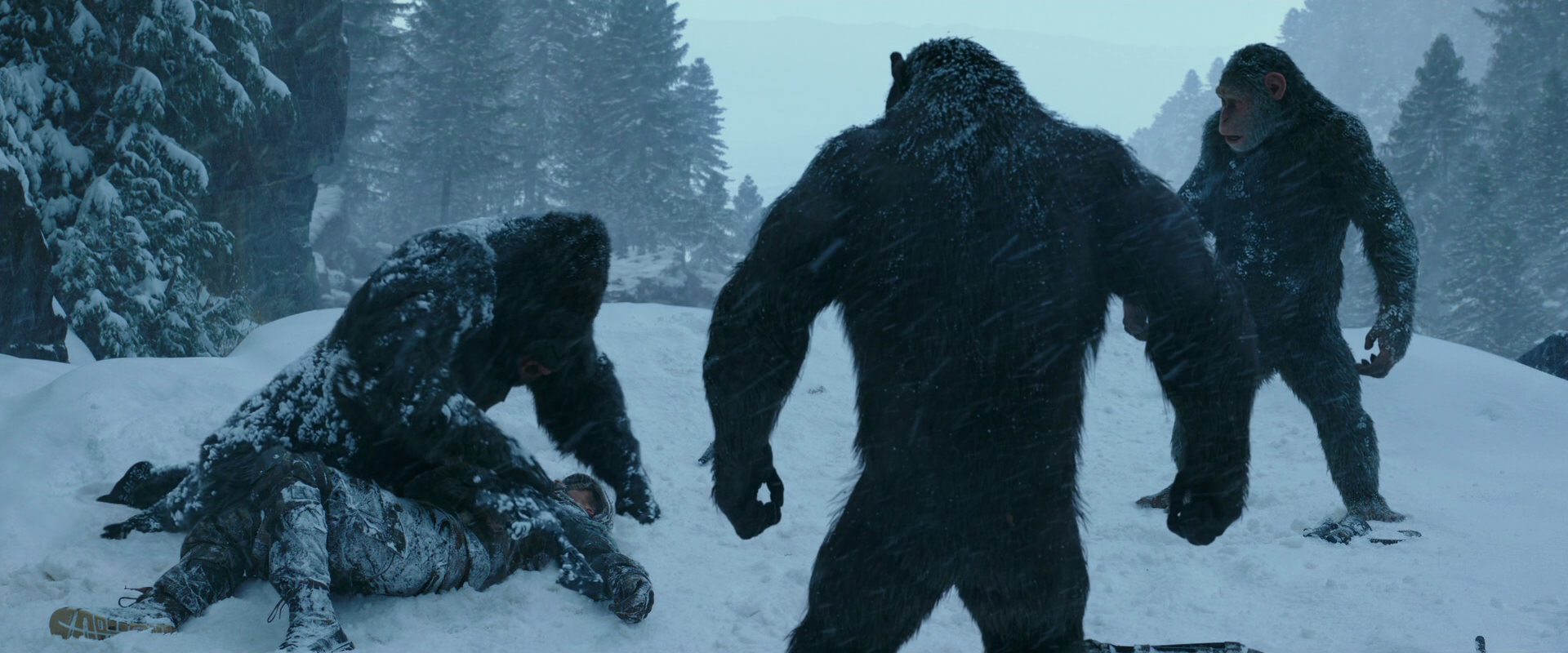 War for the Planet of the Apes (2017) screencap 6567