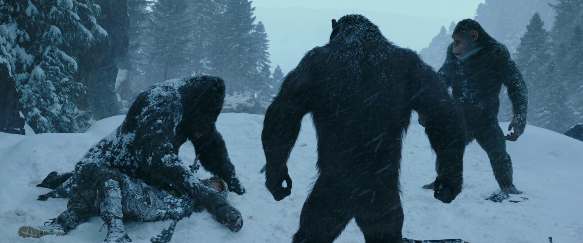 War for the Planet of the Apes (2017) movie still 6568
