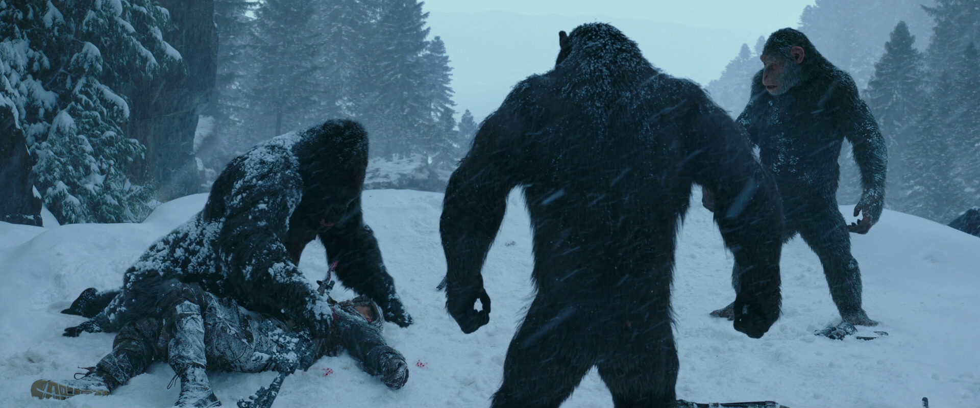 War for the Planet of the Apes (2017) HD screenshot 6569