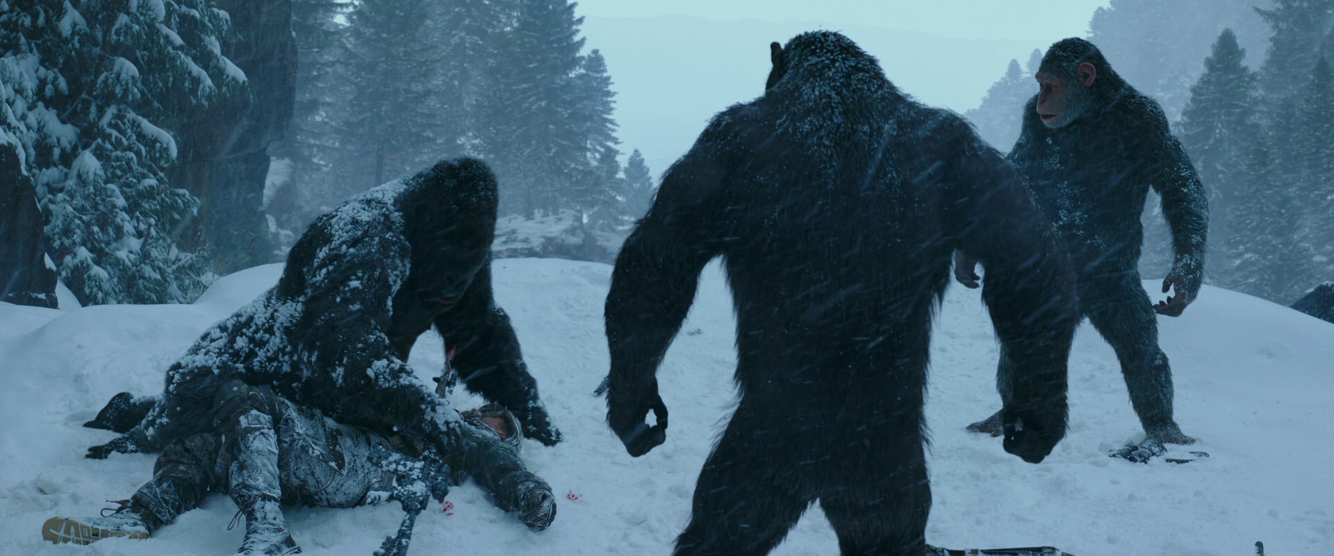 War for the Planet of the Apes (2017) screencap 6570