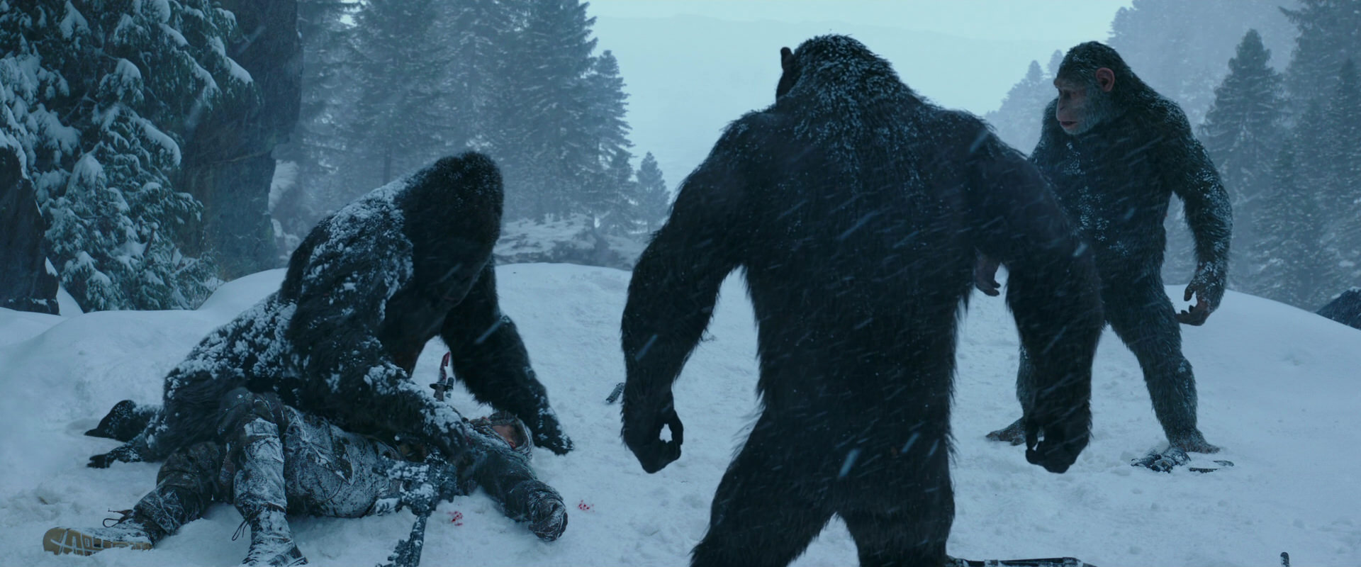 War for the Planet of the Apes (2017) movie still 6571