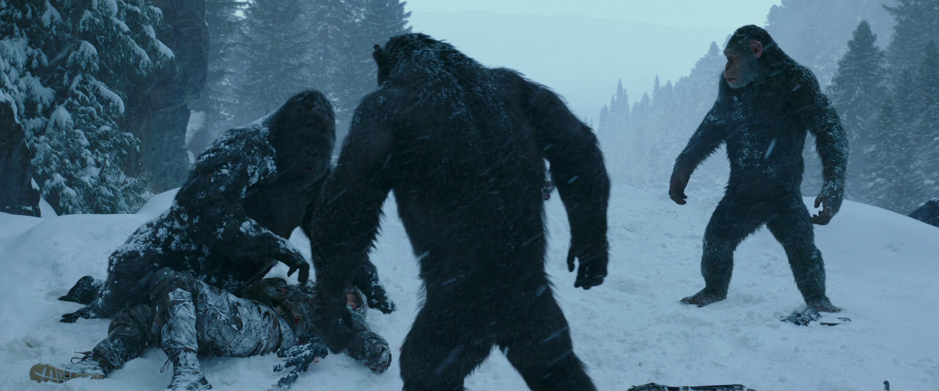 War for the Planet of the Apes (2017) screencap 6573