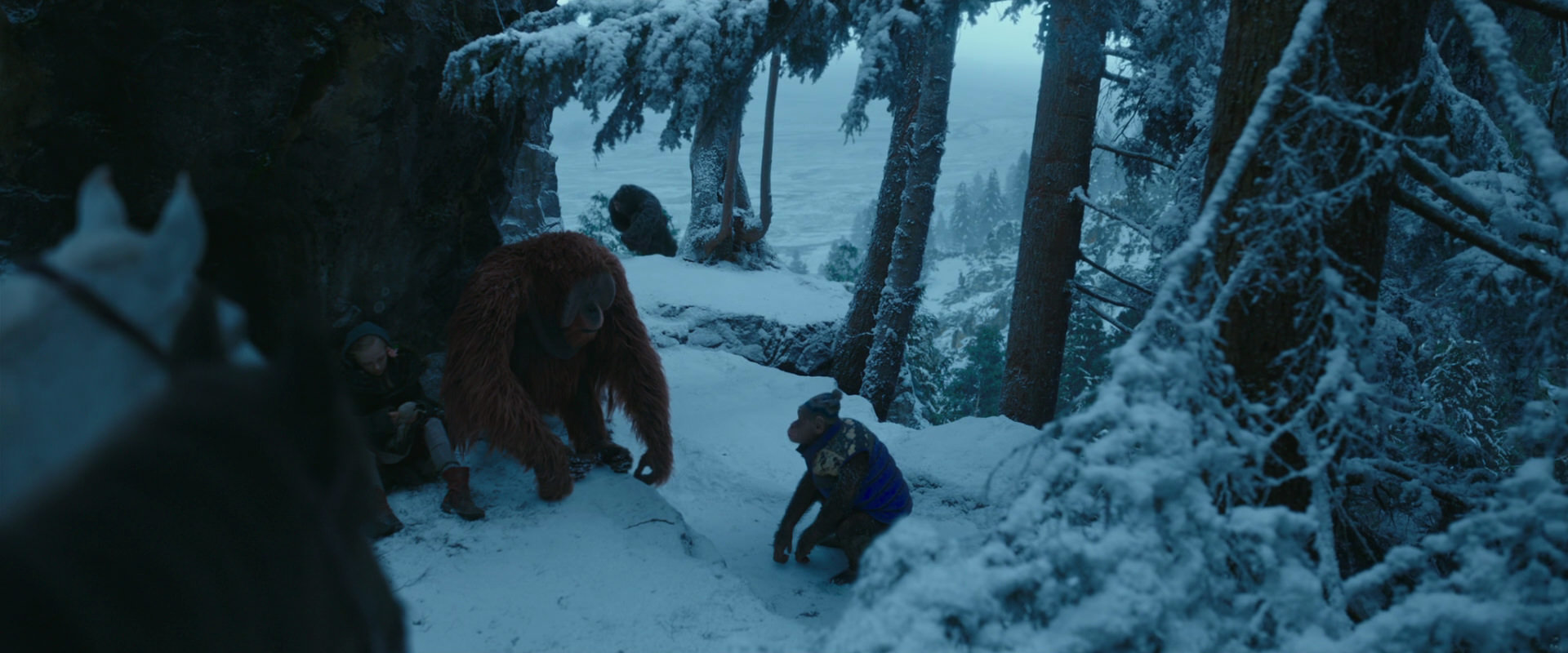 War for the Planet of the Apes (2017) screencap 6579