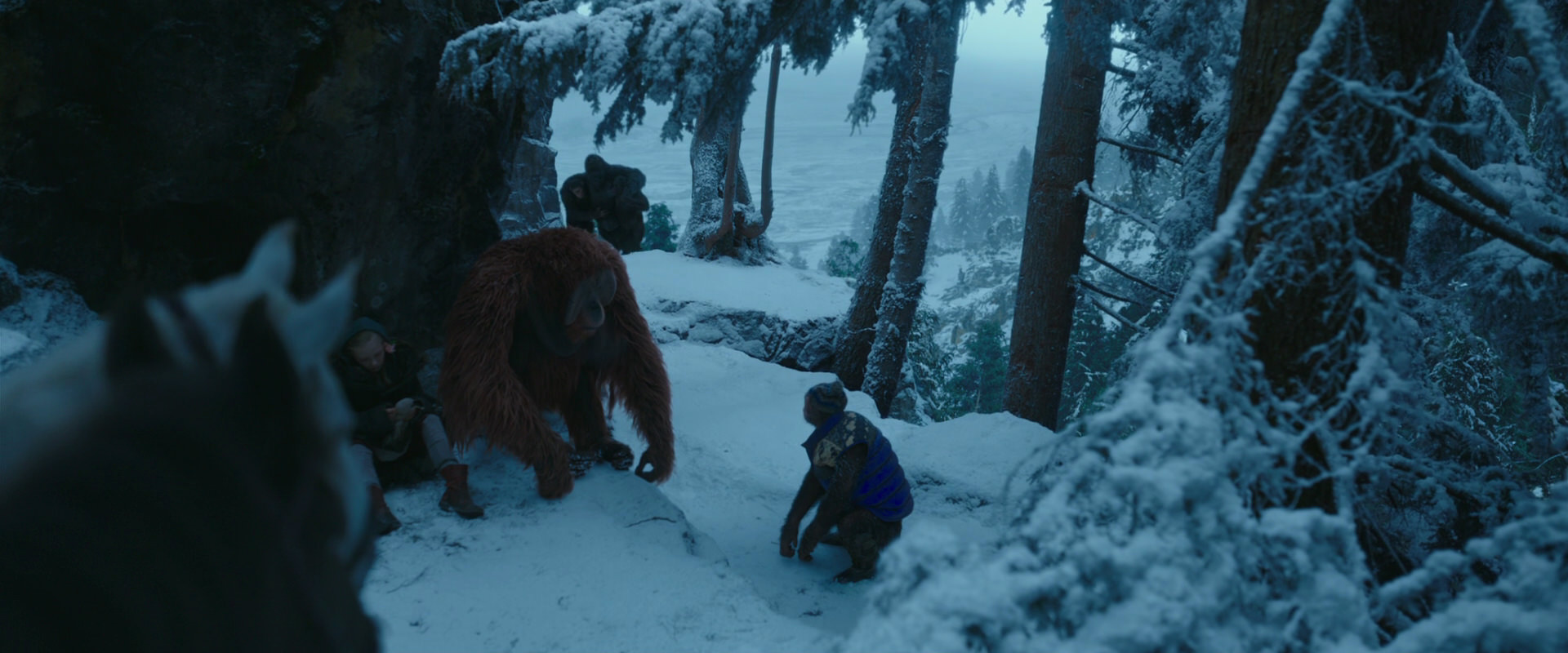 War for the Planet of the Apes (2017) screencap 6582