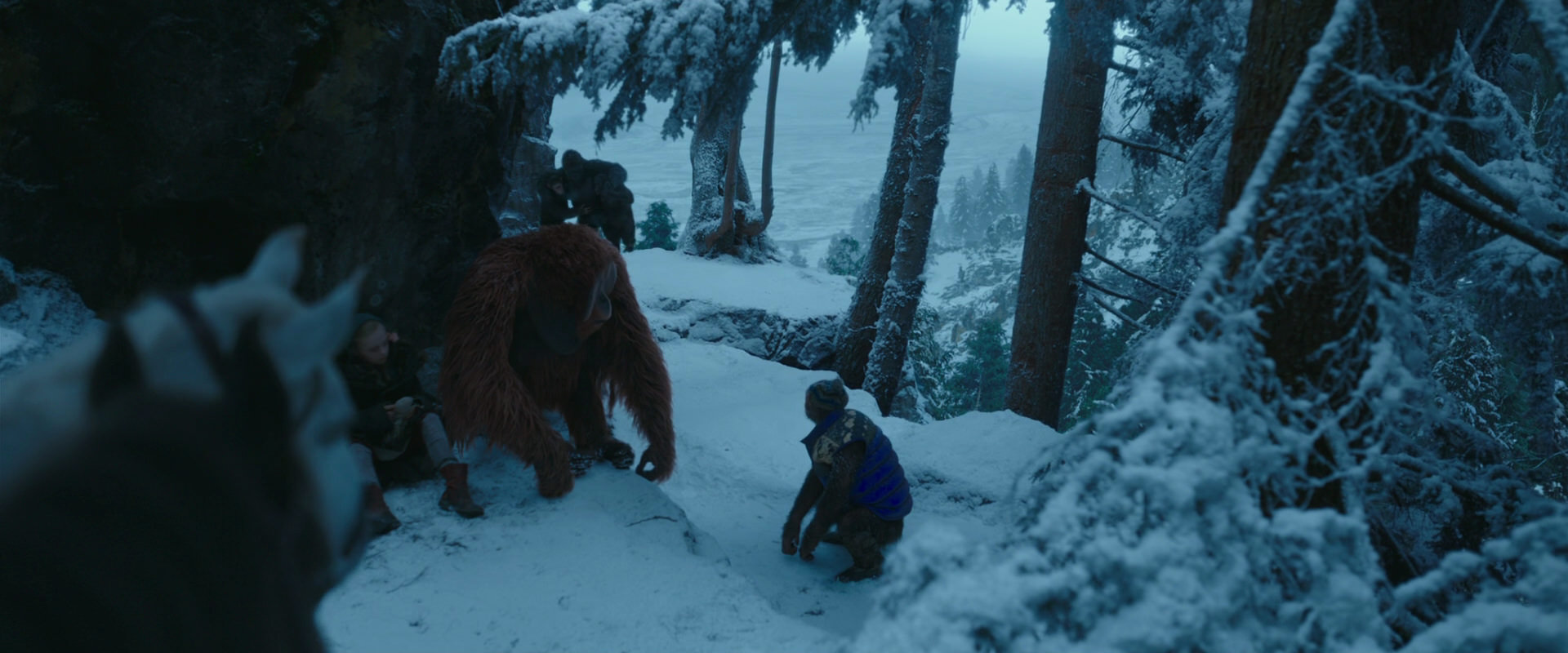 War for the Planet of the Apes (2017) movie still 6583