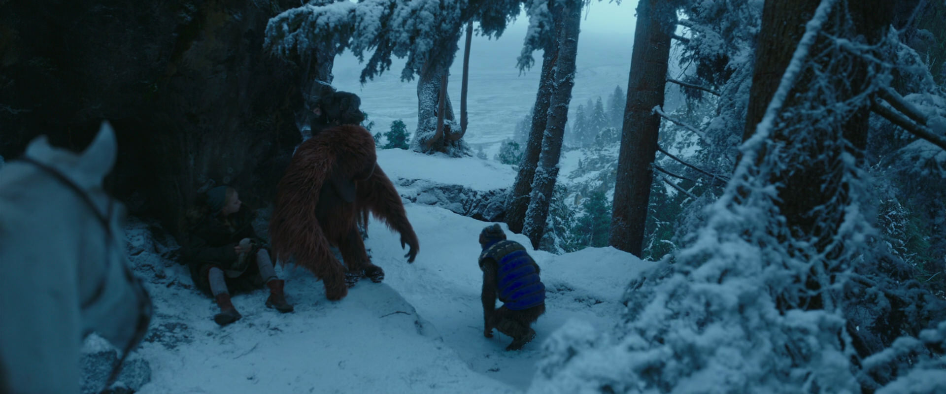 War for the Planet of the Apes (2017) screencap 6585