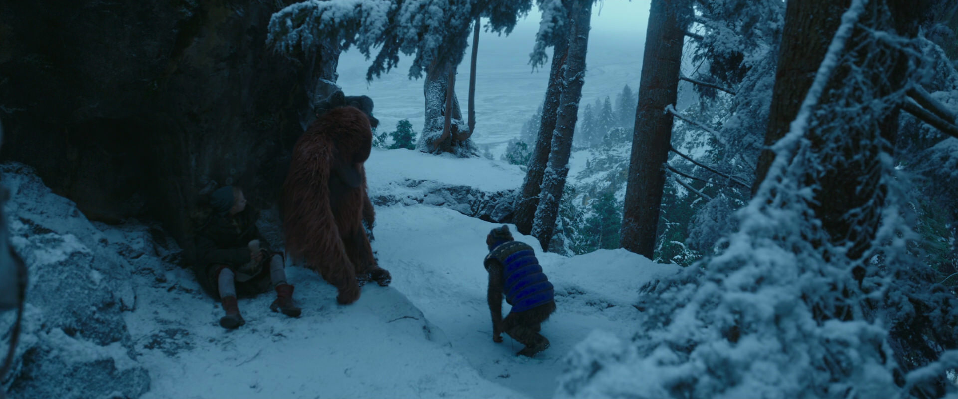 War for the Planet of the Apes (2017) screencap 6588