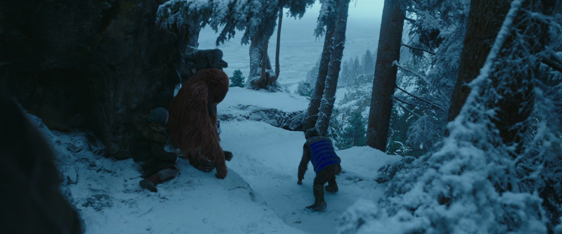 War for the Planet of the Apes (2017) screencap 6591