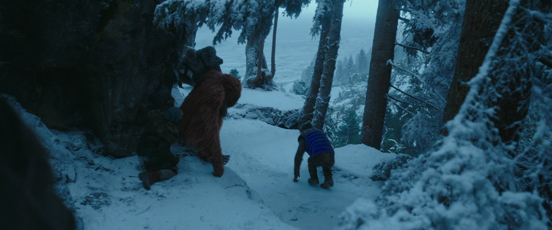 War for the Planet of the Apes (2017) movie still 6592
