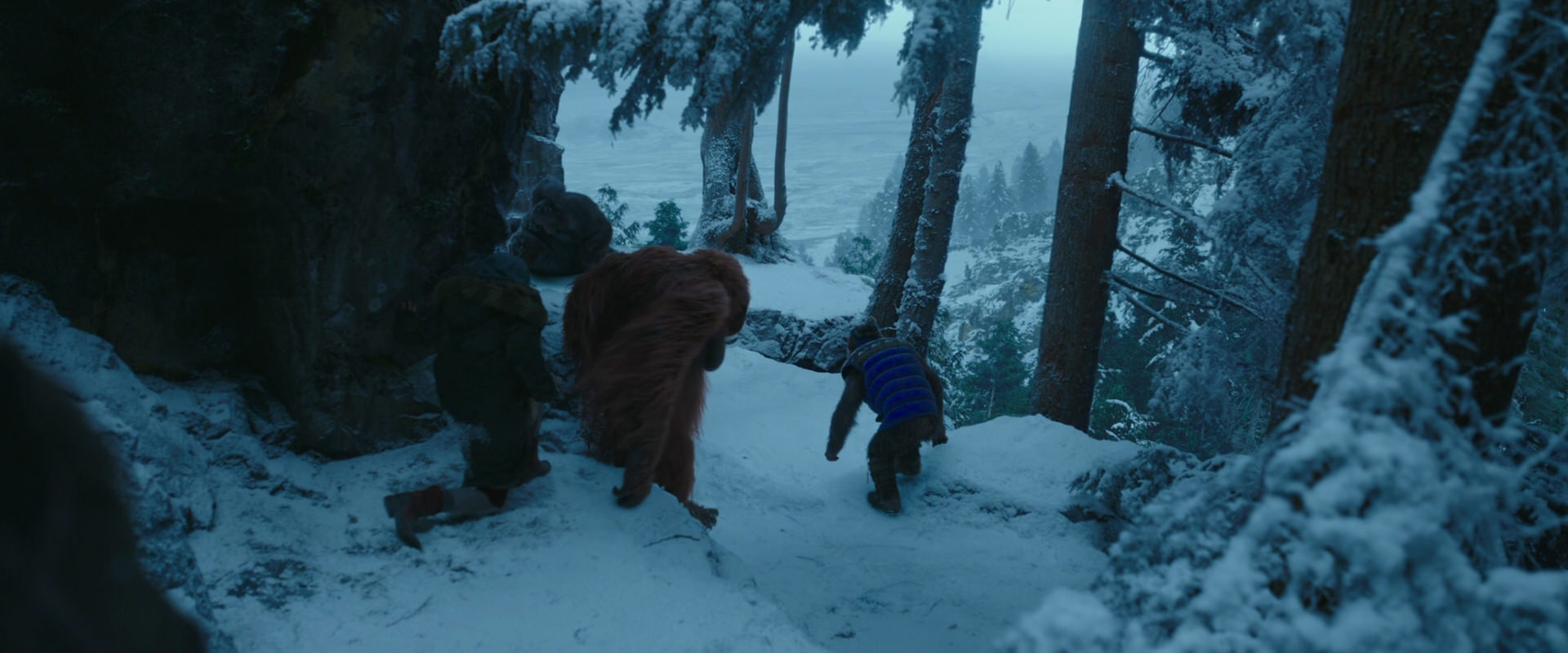 War for the Planet of the Apes (2017) screencap 6594