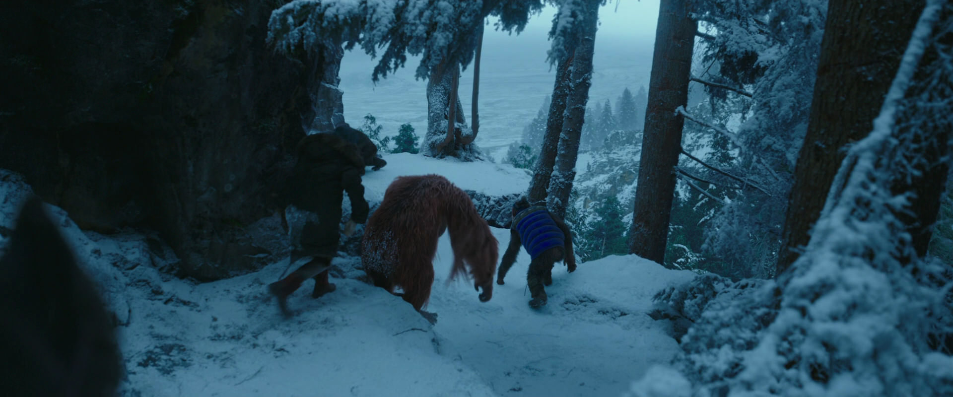 War for the Planet of the Apes (2017) movie still 6595