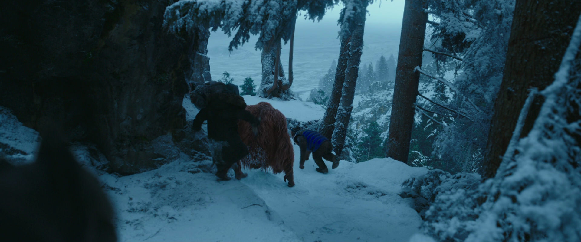 War for the Planet of the Apes (2017) screencap 6597