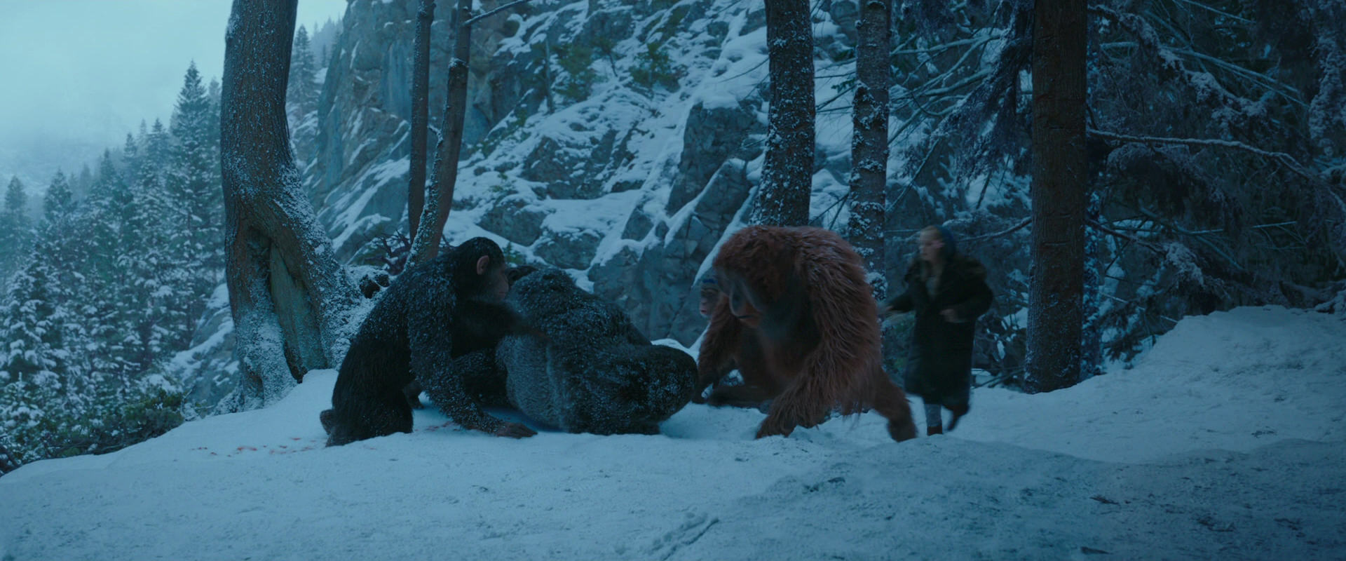 War for the Planet of the Apes (2017) screencap 6603