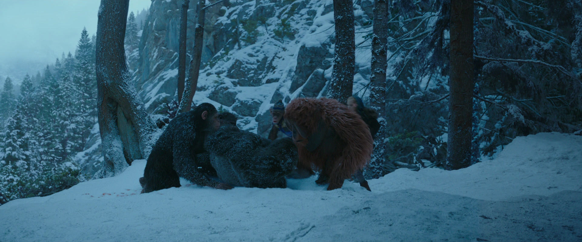 War for the Planet of the Apes (2017) movie still 6604